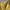 Casual Skirt Wanita yellow photo 2