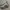 Nike Streetwear Indie Sneakers Pria silver photo 1