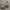 Nike Streetwear Indie Sneakers Pria Silver