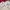 Sportswear Casual Track jacket Pria khaki photo 2