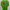 The North Face Casual T-shirt Pria green photo 2