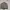 Descente Gorpcore Casual Casual shirt Pria gray photo 1