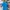 Adidas Sportswear Polo shirt Pria blue photo 1