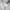 Puma Sportswear Windbreaker Pria white photo 2
