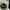 Puma Casual Bomber jacket Pria white black photo 4