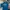 Wilson Sportswear Polo shirt Pria blue photo 2