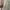 ZARA Casual Bomber jacket Pria white photo 3
