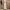 Luxury Bodycon dress Wanita white photo 3