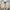 Uniqlo Biker Casual Harrington Jacket Pria Cream