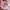 Disney Coquette Sweatshirt Wanita pink photo 1
