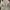 Nike Sportswear Sneakers Wanita white gray photo 1