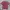 Uniqlo Casual T-shirt Pria Pink