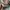 Coquette Minimalist Wanita multicolor photo 5