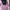 H&M Streetwear Casual Hoody Wanita Purple