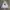 Polo Ralph Lauren Casual Hoody Pria white photo 1