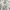 Vintage Streetwear T-shirt Pria white photo 3