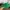Minimalist Casual Hat Pria green photo 2