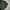 Uniqlo Streetwear Gorpcore Puffer jacket Pria green photo 3