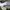 Puma Vintage Sneakers Pria white black photo 1