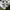 Puma Vintage Sneakers Pria white black photo 3