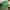 Vintage Streetwear Hat Pria white green photo 1