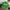 Vintage Streetwear Hat Pria White Green