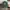 Vintage Casual Hat Pria green photo 1