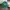 Reebok Sportswear Casual Hat Pria white green photo 1