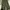 Vintage Streetwear Pria green photo 3