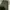 Vintage Streetwear Pria green photo 2