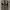 Goth Indie Bodycon dress Wanita purple black photo 2