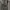 Goth Indie Bodycon dress Wanita purple black photo 3