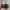 Adidas Indie Casual Sneakers Pria white green photo 4