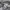 Adidas Streetwear Sportswear Hoody Kids gray photo 4