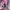 Nike Streetwear Sportswear Hoody Kids pink photo 4