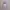 Nike Streetwear Sportswear Hoody Kids pink photo 5