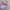 Nike Streetwear Sportswear Hoody Kids pink photo 2