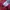 GAP Streetwear Sportswear Hoody Kids pink photo 4