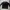 Nike Suit Pria black photo 2