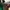 Ray Ban Y2K Sunglass Pria brown photo 4