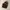 Japanese brand Grunge Goth Fur coat Pria brown photo 5