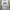 Adidas Vintage Streetwear Sweatshirt Pria white photo 2