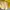 Lolita Midi dress Wanita yellow photo 5