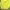 Lolita Midi dress Wanita yellow photo 3