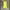 Lolita Midi dress Wanita yellow photo 1