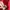 Nerdy Sportswear Minimalist Hoody Pria red photo 4