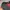 Fairy Coquette Prom dress Wanita red black photo 4