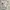 The North Face Streetwear Sportswear Bomber jacket Pria cream photo 3