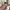 The North Face Streetwear Sportswear Bomber jacket Pria cream photo 5