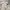 The North Face Streetwear Sportswear Bomber jacket Pria cream photo 4